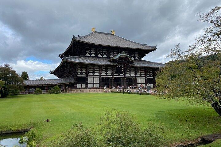 Nara Day Trip from Osaka with Deer Temple and Old Town Walk