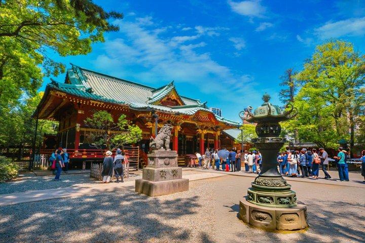 Best of Tokyo Guided Full Day City Tour with a Local