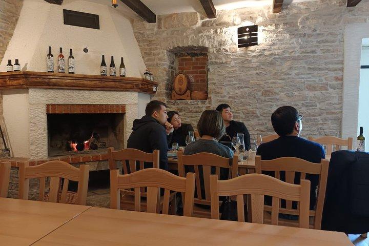 Krka and optional Wine Tasting Private Excursion from Split Area