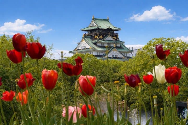 Walk Osaka in 4 Hours: Castle, Dotonbori and Insigths – Top Spots