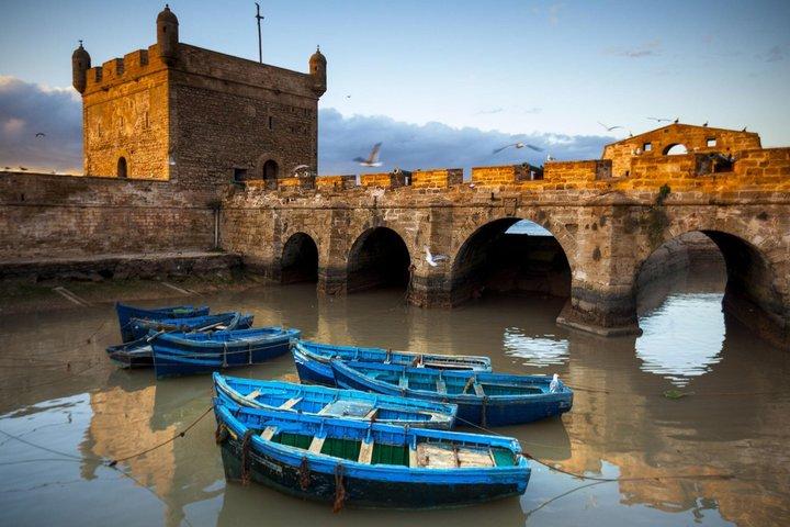 Essaouira Day Trip from Agadir Guided Medina and Coastal Escape