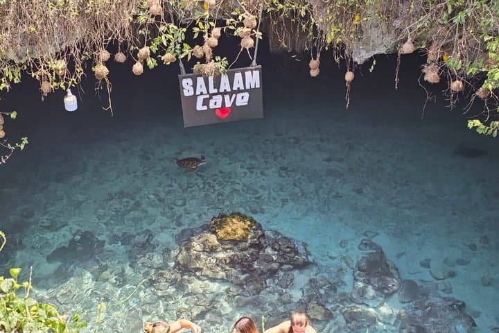 Salaam Cave and Jozani Forest Guided Tour