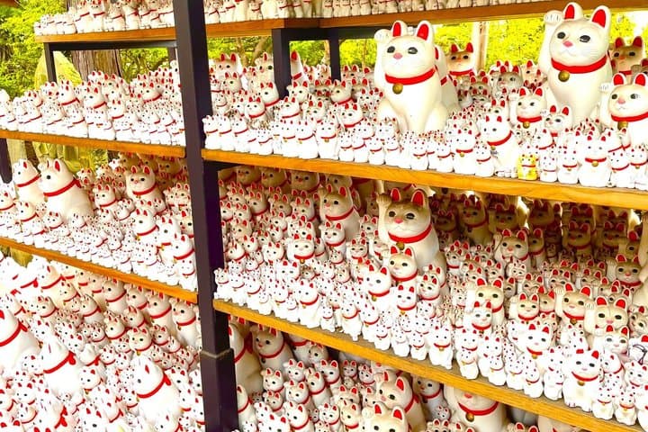 Tokyo: Gotokuji Lucky Cat Temple and Harajuku Cat Cafe Tour