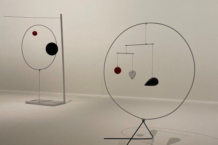 Fondation Louis Vuitton (Alexandre Calder) Private Tour
