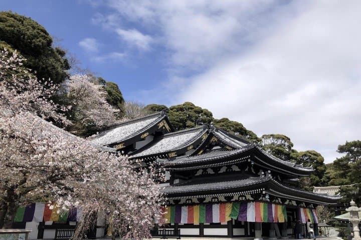 From Tokyo/Yokohama: Private Day Trip To Kamakura & Enoshima