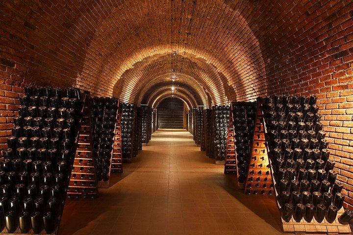 Tour wineries Lujan de Cuyo