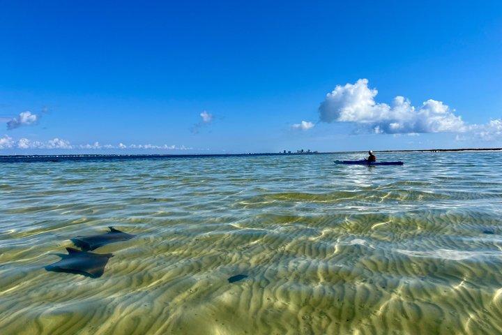 Pensacola Beach Kayak Tour