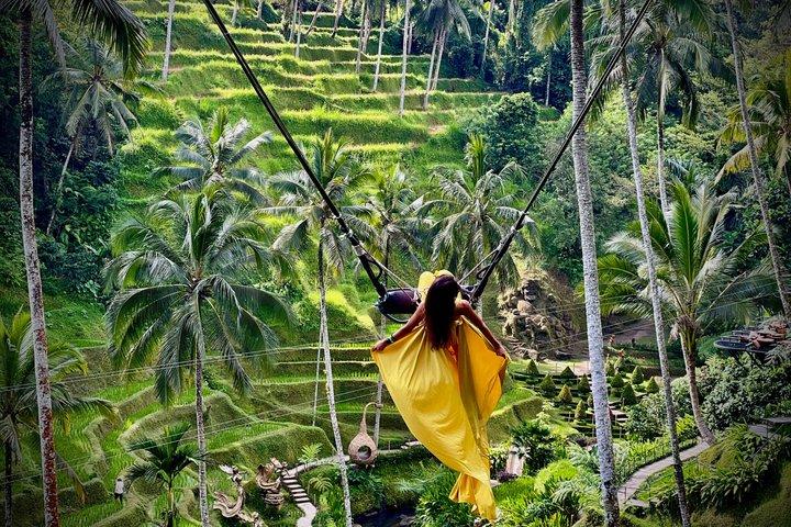 Bali || Ubud Highlights Private Day Tour - All Inclusive