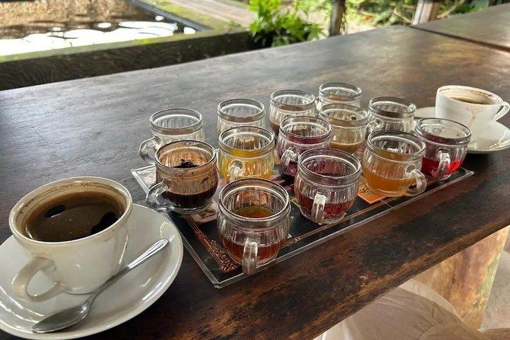 Bali || Ubud Highlights Private Day Tour - All Inclusive