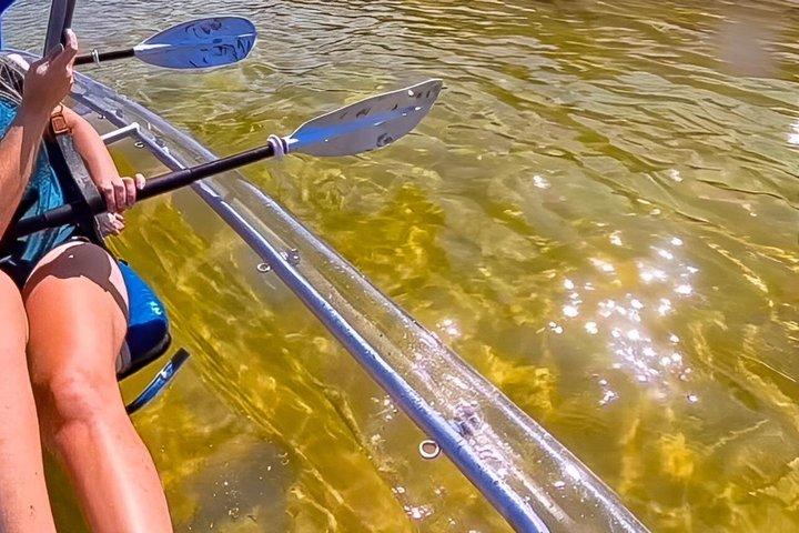 Clear Kayak Eco Tours on Lake Powell