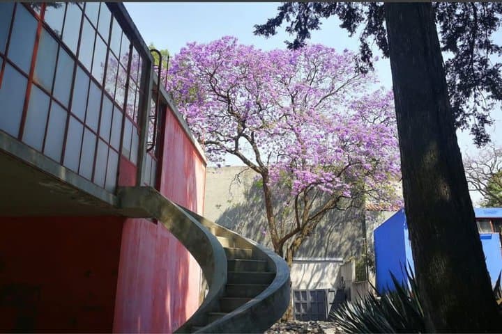 CDMX Visit to the Frida Kahlo Diego Rivera Studio House