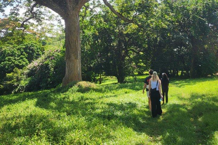 Entebbe City Walking Tour Markets History and Botanical Gardens
