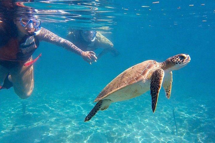 San Juan: Snorkeling with Turtles and Complimentary Videos