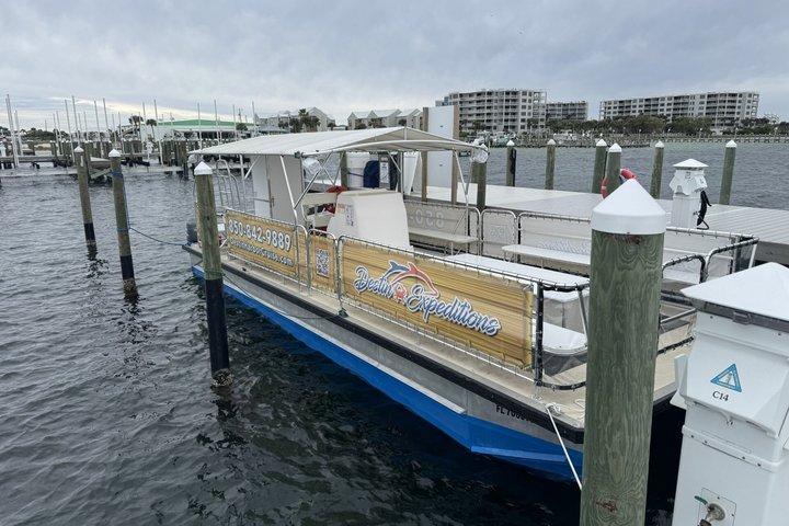Dolphin and Destin Harbor Inlet Cruise Early Afternoon
