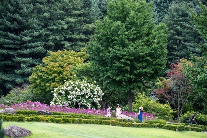 Trip to Nami Island with Petite France & Italian Village, Garden of Morning Calm