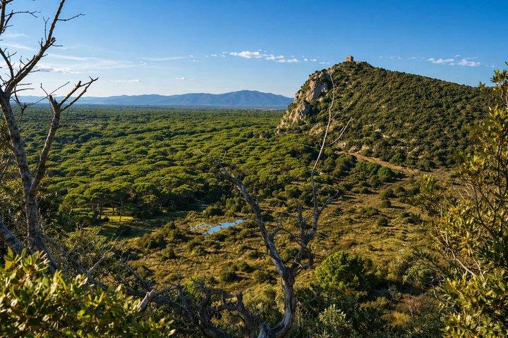 Maremma Regional Park And Guided Virtual Bike Tour
