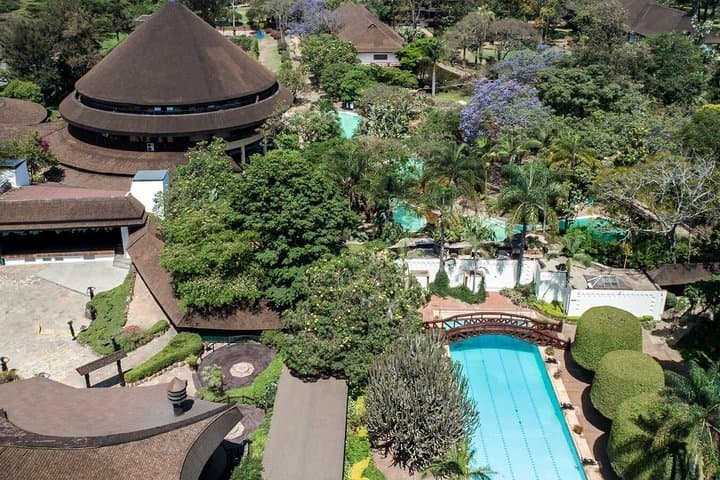 A Night of Rhythm and Cuisine: Safari Park Cat Dance Experience