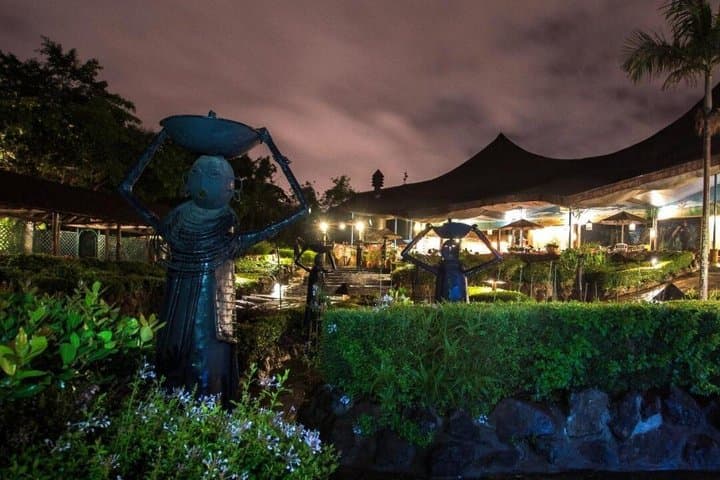 A Night of Rhythm and Cuisine: Safari Park Cat Dance Experience