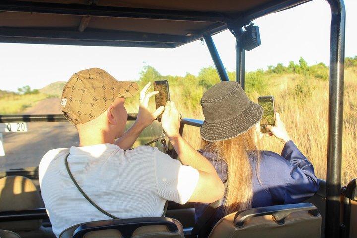 Pilanesberg National Park Big Five Safari Full Day Tour