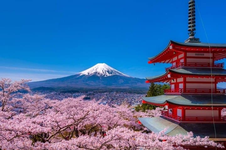 Mt Fuji Day Tour 5th Station Arakurayama Sengen Park and Matcha