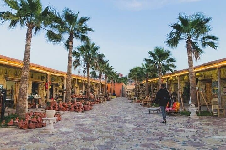Morning Taghazout Tour and Berber Souk Visit from Agadir