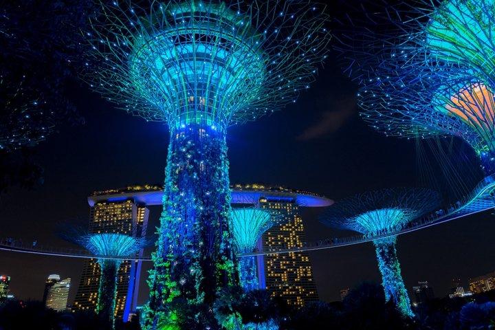 40 Minute Singapore River Cruise and 2 Light Shows Guided Tour