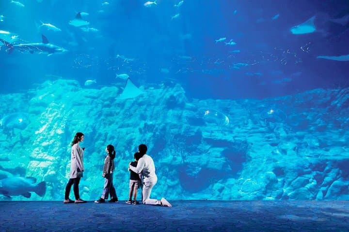 Private Hong Kong Top Night Tour: Cruise, Aquarium Dinner, Peak
