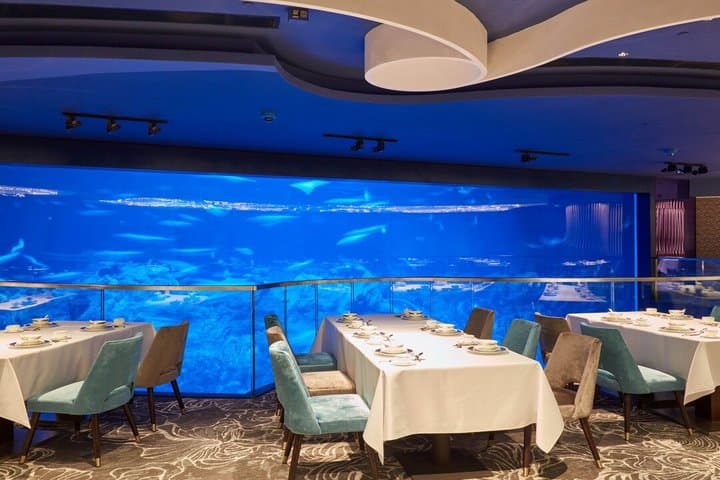 Private Hong Kong Top Night Tour: Cruise, Aquarium Dinner, Peak
