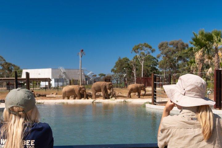 Werribee Open Range Zoo General Admission Ticket