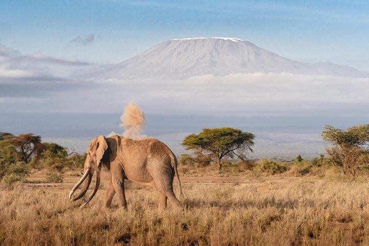 10 Night Kenya Safari Itinerary Mid Range Safari