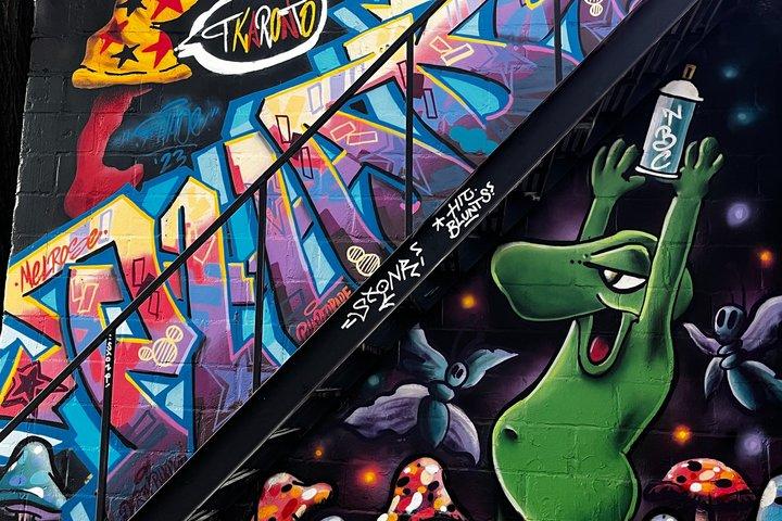 Toronto Graffiti Alley Street Art Walking Tour with an Expert