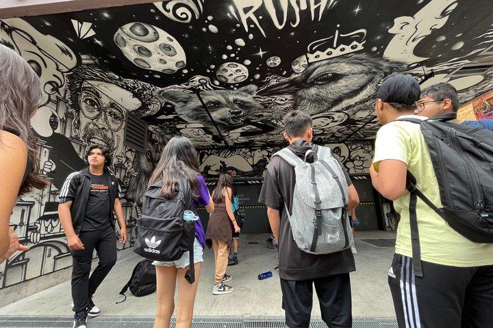 Toronto Graffiti Alley Street Art Walking Tour with an Expert