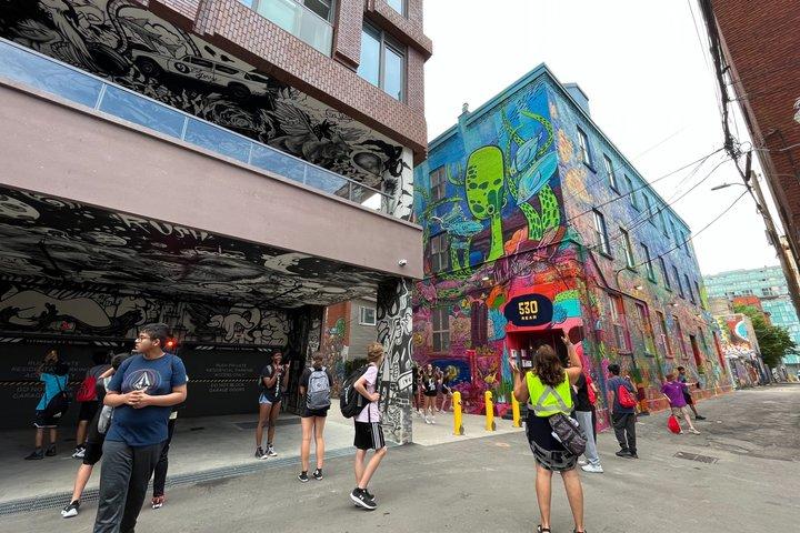 Toronto Graffiti Alley Street Art Walking Tour with an Expert