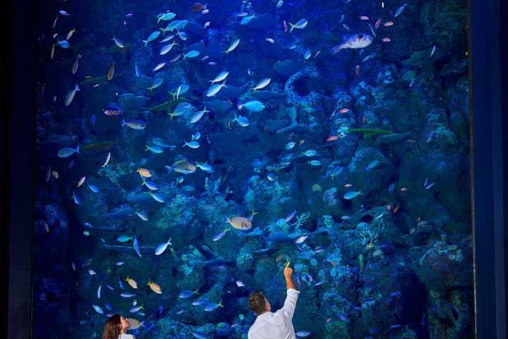 Cairns Aquarium Admission Ticket