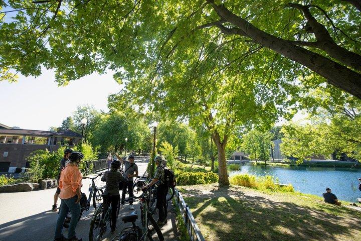 Bike / E-bike Tour : Downtown, Old Montreal, Waterfront by Fitz