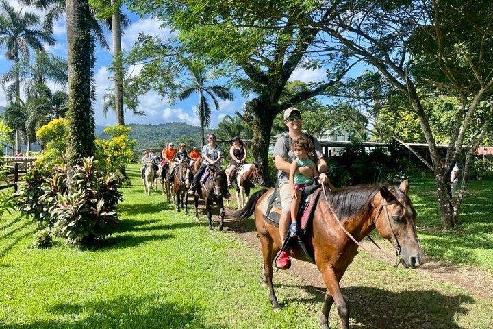 Horseback Riding & Cave Tubing Adventure from Placencia