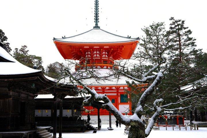 Mt Koya UNESCO Tour : Live Goma Fire Ritual & Hidden Shrine