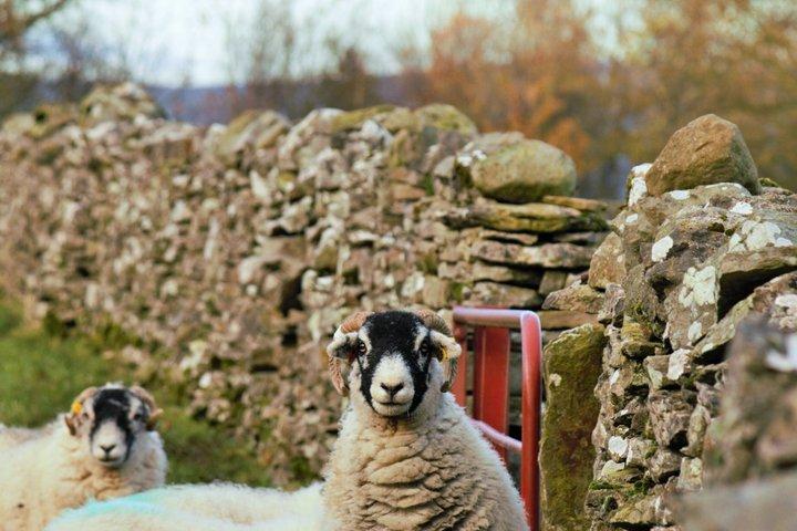 Yorkshire Dales from Windermere