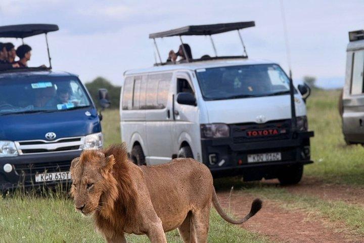 Explore Kenya’s Big Five Private Safari