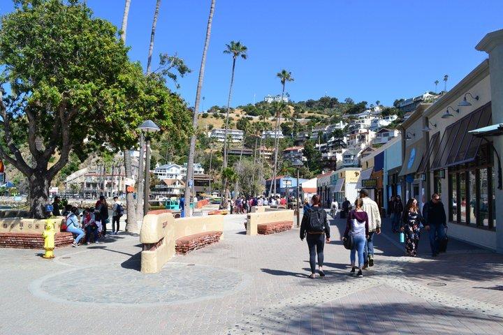 Catalina Island Self-Guided Audio Walking Tour of Avalon