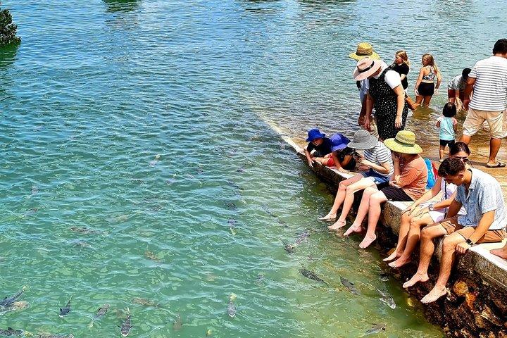 Darwin: Feed Fish at Aquascene. Tickle Your Toes at Doctors Gully