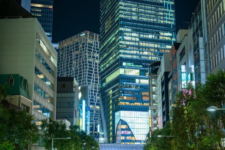 Private Night Photography Tour around Shibuya