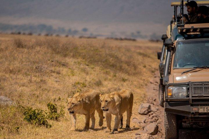 4 Days Group Budget Camping Safari in Tanzania