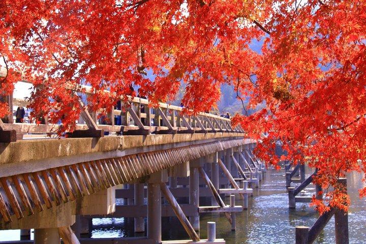 Kyoto Guided Tour of Bamboo Forest, Temple and more