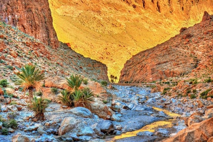 4-Day Private Sahara Desert Tour from Marrakech & Camel Trek