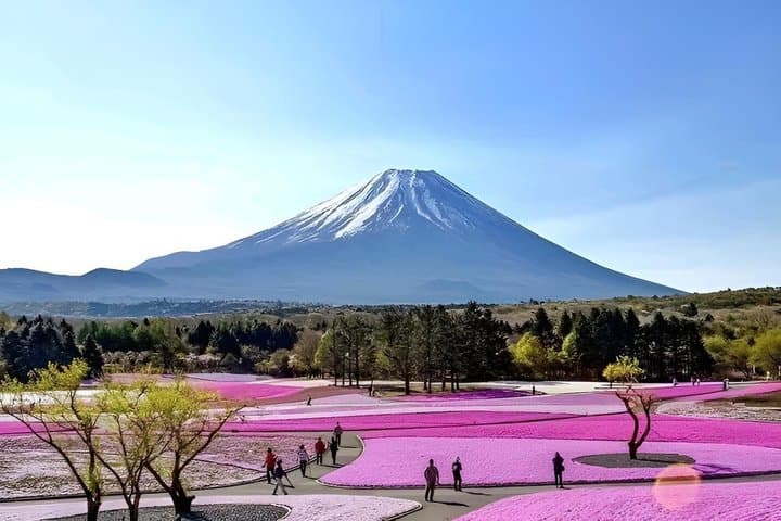 Fuji Five Lakes Guided Day Trip