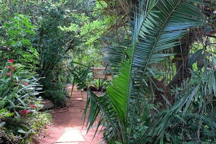 Nairobi Organic Farm Tour and Farm to Table Food Experience