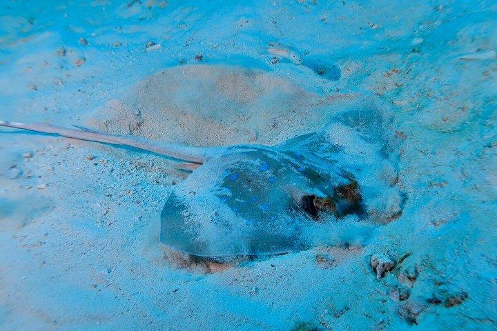 Phuket: Discover Scuba 3 Times Diving Racha Noi & Yai