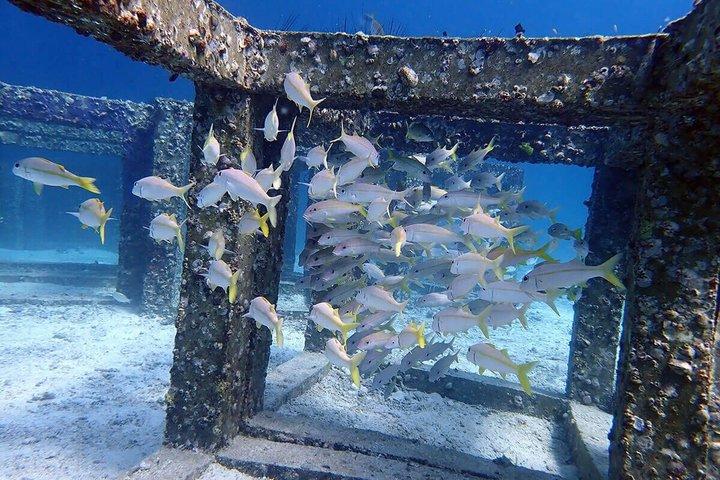 Phuket: Discover Scuba 3 Times Diving Racha Noi & Yai