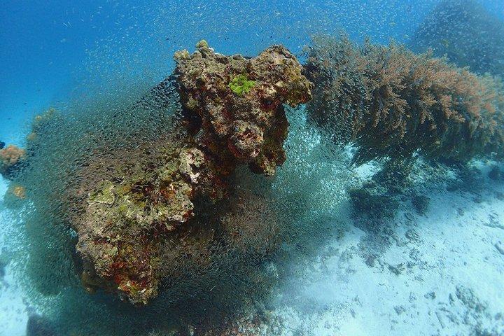 Phuket: Discover Scuba 3 Times Diving Racha Noi & Yai